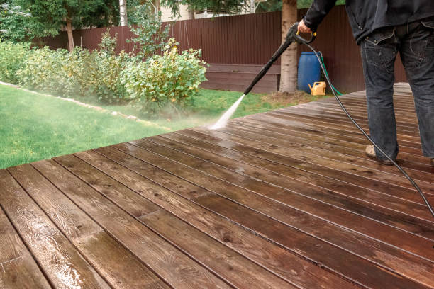 Best Fence Cleaning  in Paris, IL