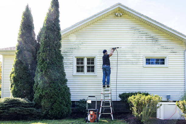 Solar Panel Cleaning in Paris, IL